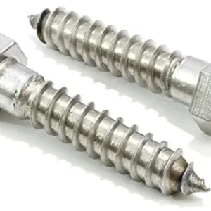 Coach Screw