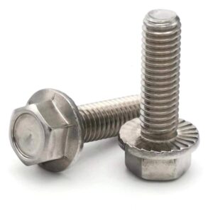 SS Flange bolt